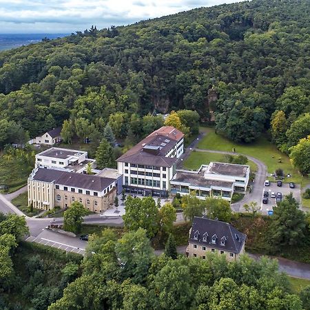 Kloster Neustadt Neustadt an der Weinstrasse Ngoại thất bức ảnh